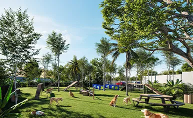 Pet park
